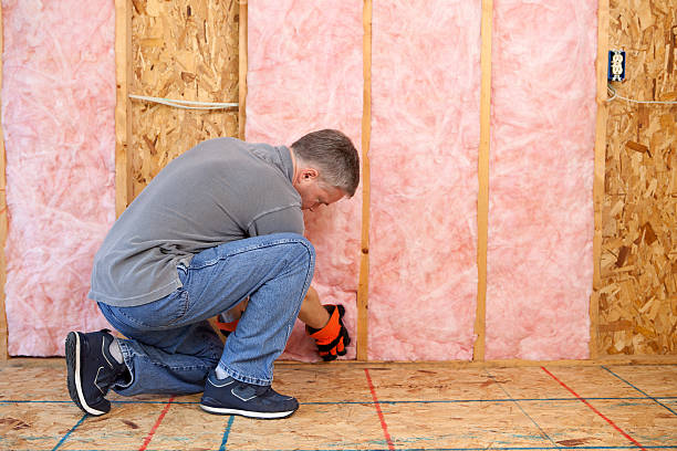 Professional Insulation Contractor in CA