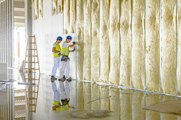Best Types of Insulation in Marina Del Rey, CA